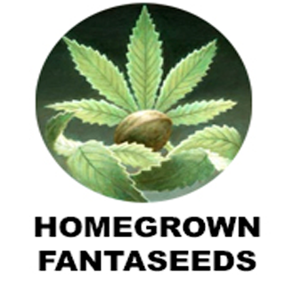 Homegrown Fantaseeds Homegrown Fantaseeds